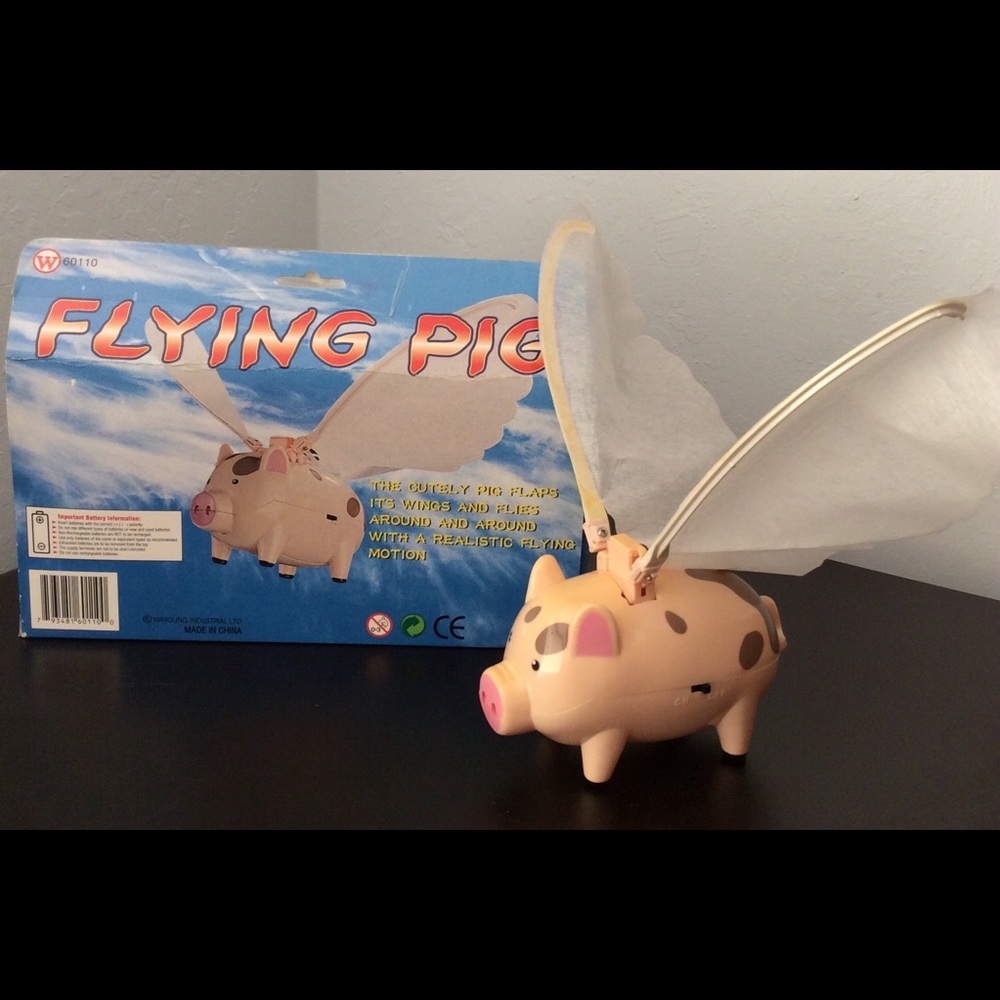 Flying Pig